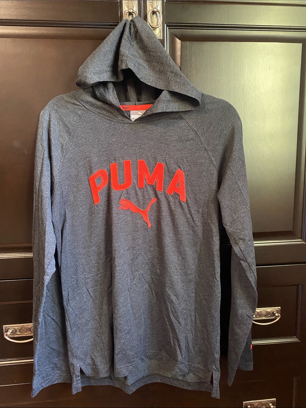 Puma Dark Gray Hooded Longsleeve TShirt
